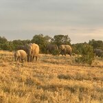 Photo taken by Julien C