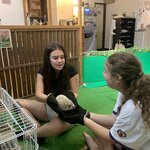 Photo taken by Lisa W