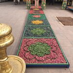 Photo taken by Leslie P