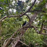 Photo taken by Tiphanny C