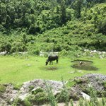 Photo taken by Joanna K