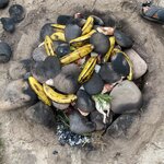 Photo taken by martin M