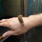 Photo taken by Steven M