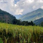 Photo taken by Jill S