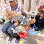 Photo taken by Sarah S