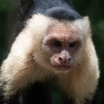 Photo taken by Gill P