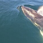 Photo taken by Stefani C