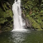 Photo taken by meachumdds@gmail.com M