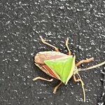 Photo taken by Sheila G