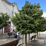 Photo taken by Patty L