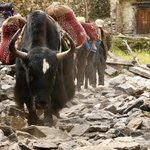 Photo taken by Tyler W