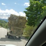 Photo taken by Louis B