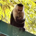 Photo taken by Ben B