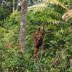 Photo taken by Sabiha K