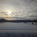 Photo taken by Monique V