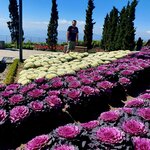 Photo taken by Bianca C