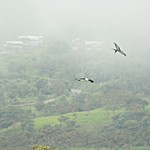 Photo taken by Marcia G