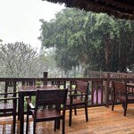 Photo taken by Nicki P