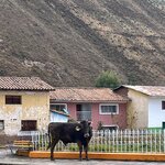 Photo taken by Melanie M