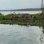 Photo taken by Julien C