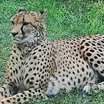 Photo taken by Laura R