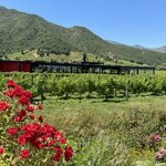 Photo taken by Donna R