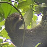 Photo taken by Danijela R