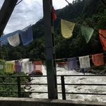 Photo taken by Joanna K