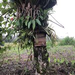 Photo taken by ted m