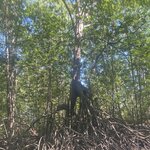 Photo taken by Kim L