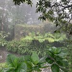 Photo taken by Ricky B