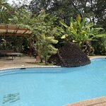 Photo taken by Paul F