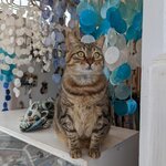 Photo taken by Elin T