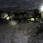 Photo taken by Lynda P