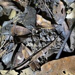 Photo taken by Breann B