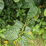 Photo taken by Touraj K