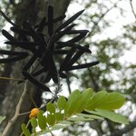 Photo taken by Brett F