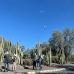 Photo taken by Martha H