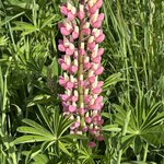 Photo taken by fred y