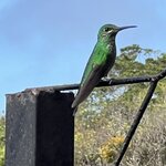 Photo taken by Patrice G