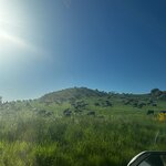 Photo taken by Judah J