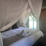 Photo taken by Crystall P