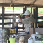 Photo taken by Karen P