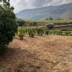 Photo taken by Raquel K