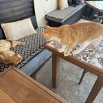 Photo taken by Jones I