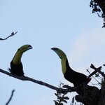 Photo taken by Wilbert A