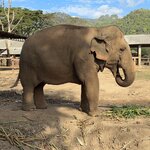 Photo taken by Megan H