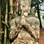 Photo taken by Shaula L