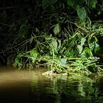 Photo taken by Ciarra N