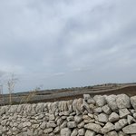 Photo taken by Judi W